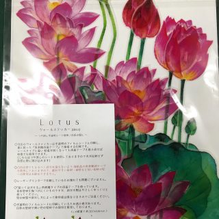 creemaやminneでウォールステッカーを、自社HPでブライダル関係のペーパーアイテムを販売しております🍀 ・ ・ ・ ・ ・ #2021wedding #wedding #ウォールステッカー #lotus #weddingreception #2021春婚 #2021夏婚 #2021秋婚 #2021冬婚 #weddingitem #happywedding #結婚式　#花嫁さんと繋がりたい #婚約しました#marriage #wallstiker #weddingdress #weddingphoto #招待状#席次表#ペーパーアイテム#結婚披露宴#happytime #プレ花嫁#プレ花嫁さんと繋がりたい#結婚式準備
