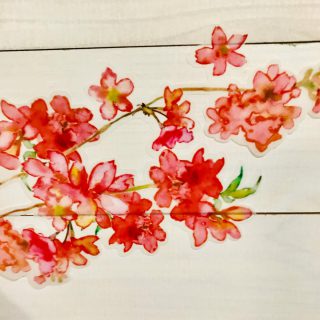 桜:ウォールステッカー（デコ） ・ つや消しの半透明素材を使用して作っているので、壁に絵を描いたようにスッと溶け込みます。 ・ 販売中です。 Creemaまたはminneにて↓ ・ 検索キーワード『BlancBlanche』で😆✨ ・ DMいただいても対応できます ・ ・ ・ ・ ・ ・ ・ ・ ・ ・ ・ ・ ・ ・ ・ ・ #ふたりぐらし #pendrawing #リース#リノベーション#水彩画 #ひとりぐらし #新生活#新婚#イラスト#drawingart #子供部屋#ウォールデコレーション #japonism #ギリム #minne#水彩画アート #sakura#引越し #ウォールステッカー#floraldrawing#floraldesign #二人暮らし #北欧インテリア #2人暮らし #ウォールデコ #桜 #creema#新婚#線画#新婚生活