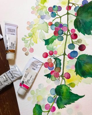 野葡萄🍇 ・ ・ ・ ・ ・ ・ ・ ・ ・ ・ ・ ・ ・ ・ ・ ・ ・ ・ #透明水彩 #pendrawing #野葡萄#ノブドウ#水彩画 #おえかき #水彩画アート #新婚#イラスト#drawingart #おえかきぐらむ #watercolorpainting #自粛生活 #グラデーション#山葡萄#水彩画アート #自粛中の過ごし方 #絵画作品 #絵を描くのが好き #floraldrawing#floraldesign #flowerart #懐かしい #山 #野草 #草花 #絵画 #絵描きさんと繋がりたい #watercolor #水彩画イラスト
